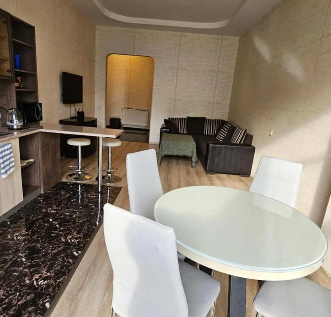 Nino Ramishvili Apartment Τυφλίδα Γεωργία